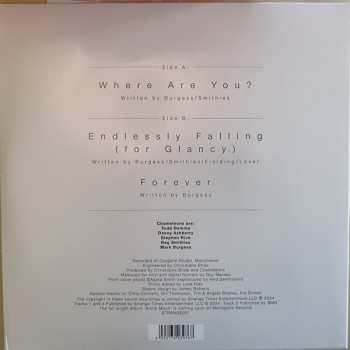 LP The Chameleons: Where Are You? LTD