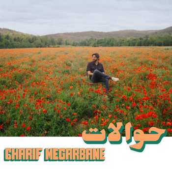 LP Charif Megarbane: Hawalat