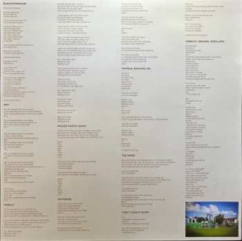 LP Chat Pile: God's Country CLR | LTD