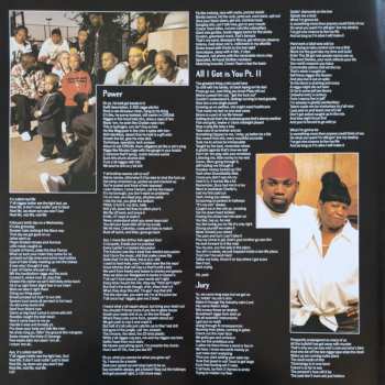 2LP Raekwon: Immobilarity CLR | LTD
