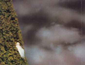 CD Cher: Living Proof