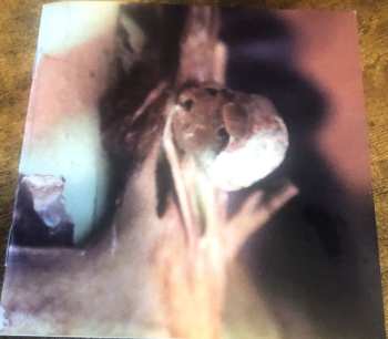 2CD/Box Set Ches Smith: Path Of Seven Colors