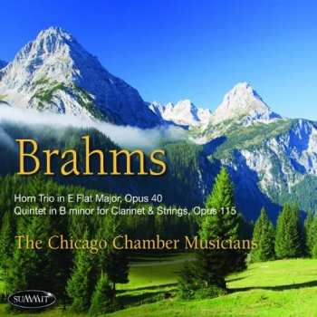 CD Johannes Brahms: Brahms