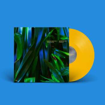 Album Chkheidze,anushka / Lippok,robert: Uncontrollable Thoughts