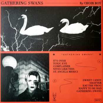 LP Choir Boy: Gathering Swans LTD | CLR