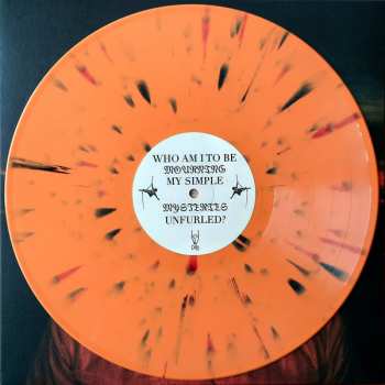 LP Choir Boy: Gathering Swans LTD | CLR