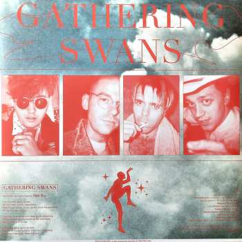 LP Choir Boy: Gathering Swans LTD | CLR