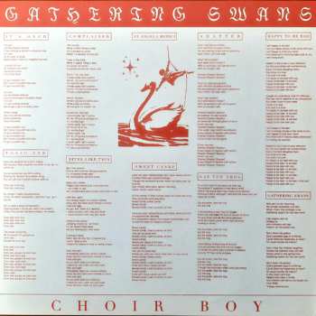 LP Choir Boy: Gathering Swans LTD | CLR