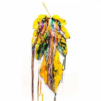 CD Chon: Grow