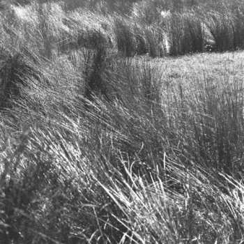 Album Chris Abrahams: Thrown