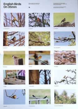 LP Chris Brain: Bound To Rise LTD