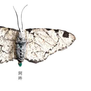 CD Fennesz: AUN – The Beginning And The End Of All Things