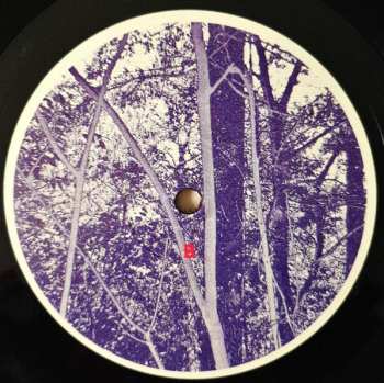 LP/CD Christina Rosenvinge: La Joven Dolores