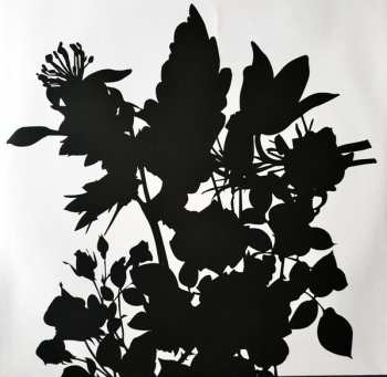 LP/CD Christina Rosenvinge: Tu Labio Superior