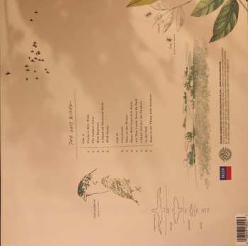 LP The Royal Philharmonic Orchestra: The Lost Birds