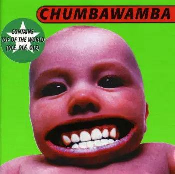 Chumbawamba: Tubthumper