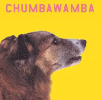 Chumbawamba: WYSIWYG