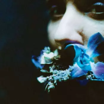 Circuit Des Yeux: Reaching for Indigo