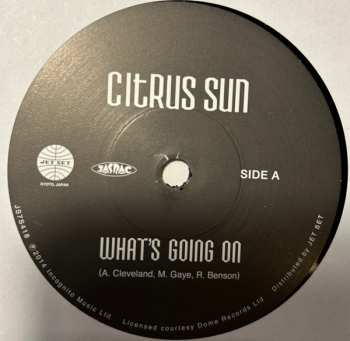 SP Citrus Sun: What's Going On