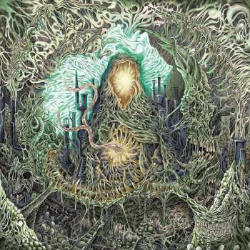 CD Claustrum: Claustrum