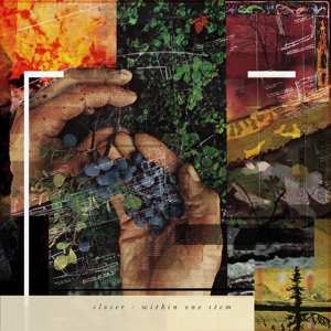 Album Closer: Within One Stem