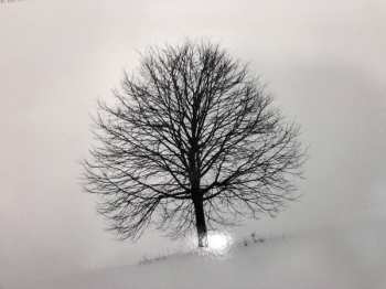 LP Coil: Live At The London Convay Hall, October 12, 2002