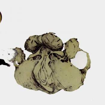 Album Coil: The Ape Of Naples / The New Backwards