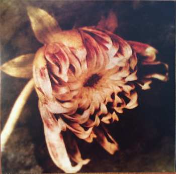 2LP Colin Stetson: Sorrow (A Reimagining Of Gorecki's 3rd Symphony)