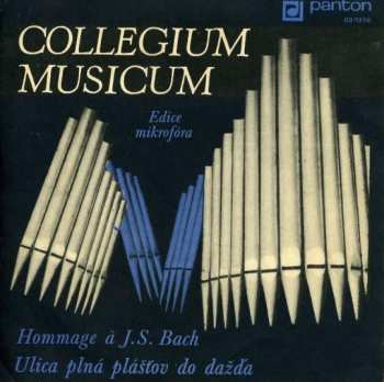 SP Collegium Musicum: Hommage À J. S. Bach / Ulica Plná Plášťov Do Dažďa