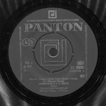 SP Collegium Musicum: Hommage À J. S. Bach / Ulica Plná Plášťov Do Dažďa