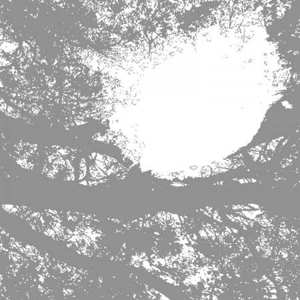 Album Comets On Fire: Field Recordings From The Sun