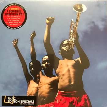 LP Common: A Beautiful Revolution (Pt 1) CLR