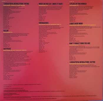 LP Common: A Beautiful Revolution (Pt 1) CLR