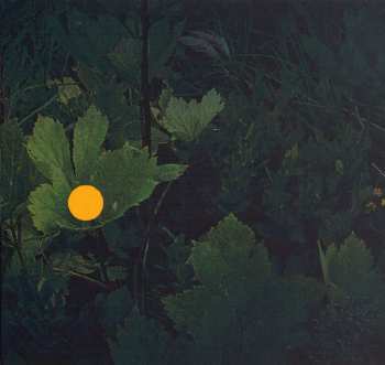 CD Complot Bronswick: Dickinson