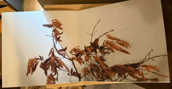 LP Copeland: In Motion CLR | LTD