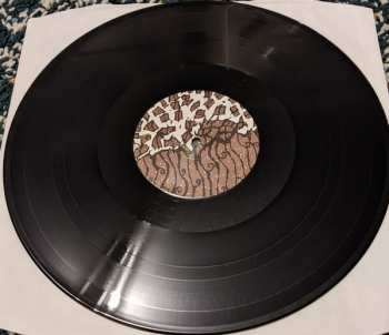 LP COR: Gott Der Möglichkeiten
