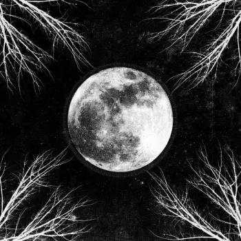 PaleMoon