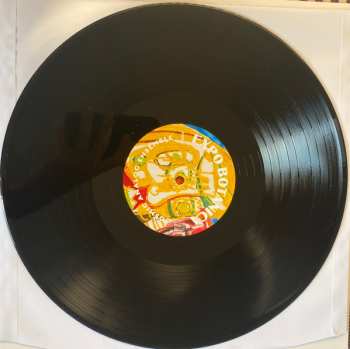LP Cosmic Analog Ensemble: Expo Botanica