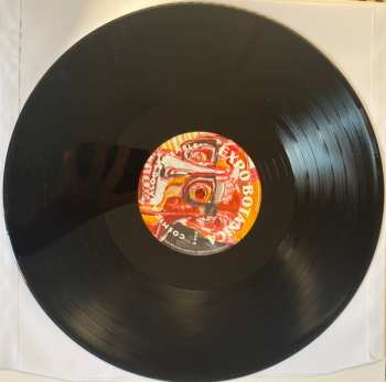 LP Cosmic Analog Ensemble: Expo Botanica