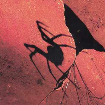 CD Coste Apetrea: Surprisingly Heavy