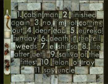 CD Cows: Sorry In Pig Minor