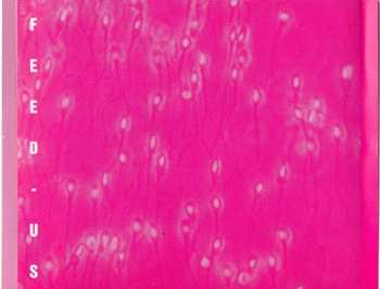 CD Cradle Of Thorns: Feed-Us