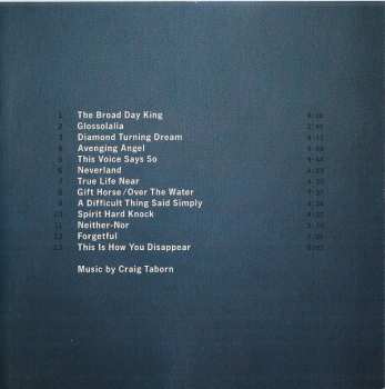 CD Craig Taborn: Avenging Angel