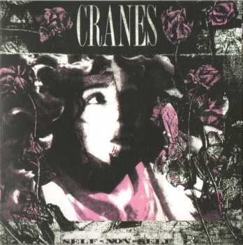 6CD/Box Set Cranes: Collected Works Volume 1 1989-1997