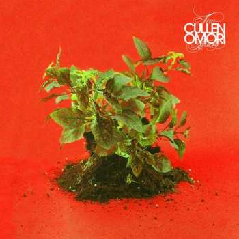 LP Cullen Omori: New Misery