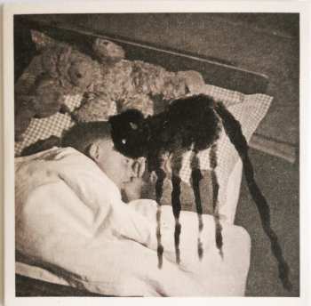 7CD/SP/Box Set Current 93: The Long Shadow Falls LTD