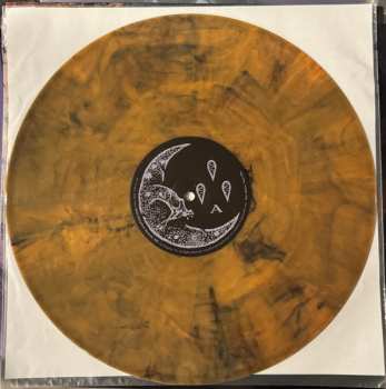 CD Currents: All That Follows