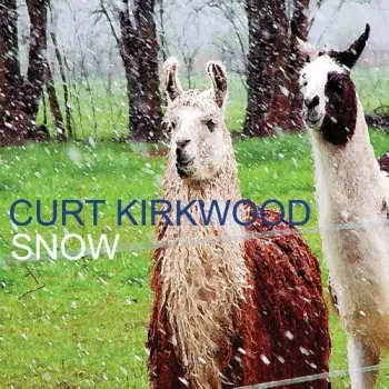 Curt Kirkwood: Snow