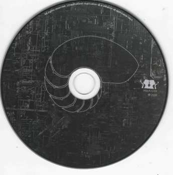 CD Daal: Navels Falling Into A Living Origami