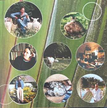 CD Dago: Sounds For A Blue Planet